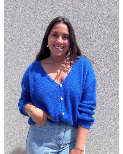 Gilet Bleu